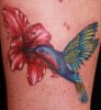 Blume mit Kolibri