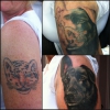 Cover Up Hundeportrait