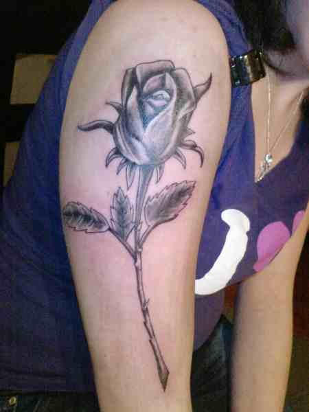 Meine Rose (rechter Oberarm)