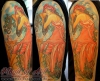 mucha