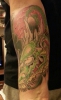Kleiner Drachen
