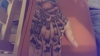 Taube+Cover-Up