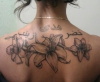 Lilien und Arabische schrift