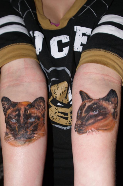 Cats