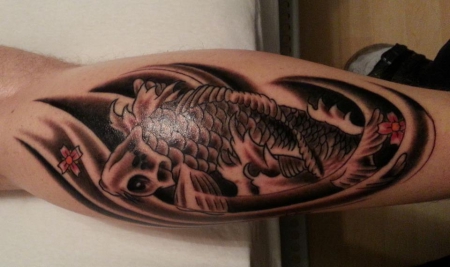 Koi-Wade