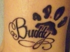 Buddy - Name von meinem verstorbenen Hund