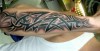 Tribal
