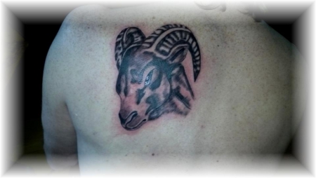 Steinbock
