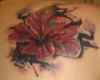 Wolf weicht Hibiscus *-* 