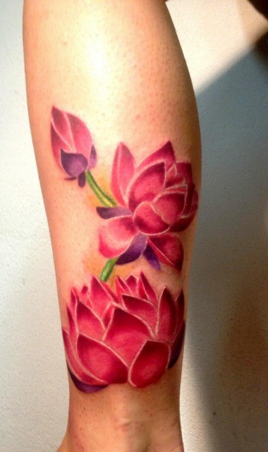 Meine Lotusblüten :)
