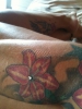 Arm 