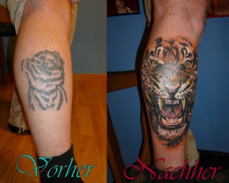 Tiger Cover up