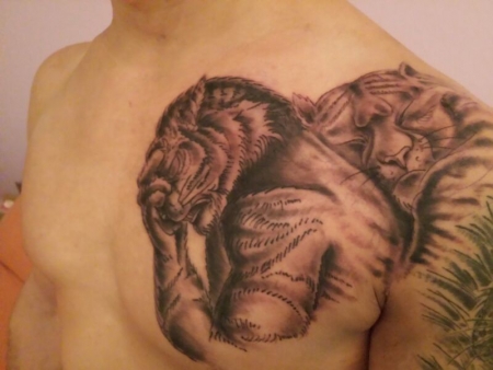 Tiger Liebe