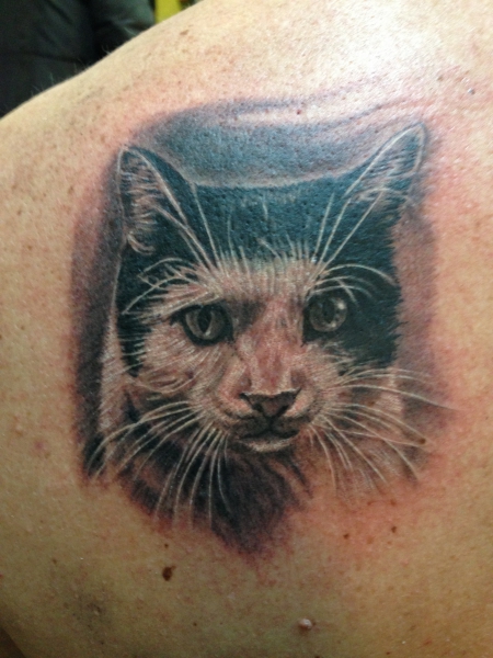 Unser Kater