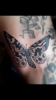 Schmetterling