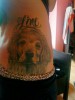mein hund line