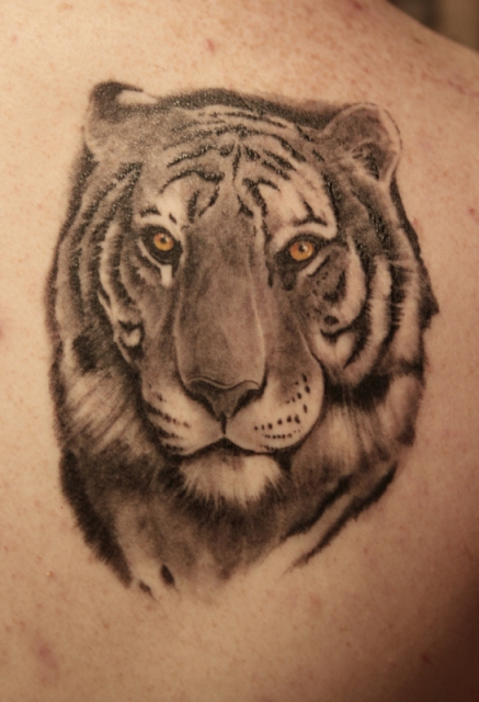 Tiger tattoo777