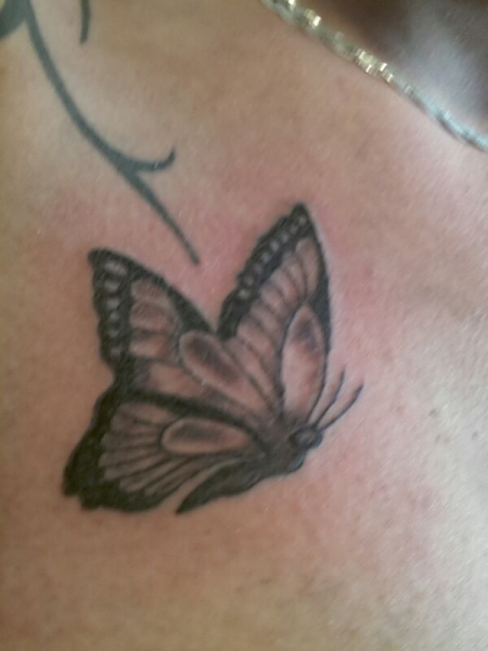 Schmetterling
