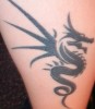 Drache