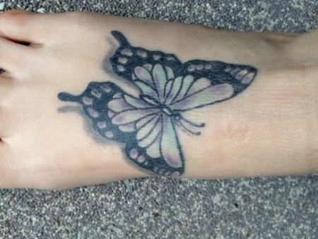 Schmetterling