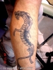 Drachentattoo rechter Unterschenkel