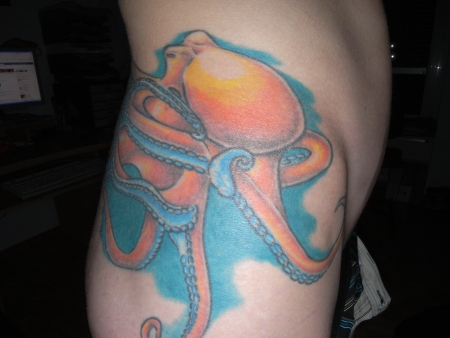 Octopus
