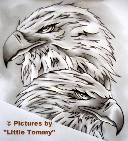 "Adler- Motiv"