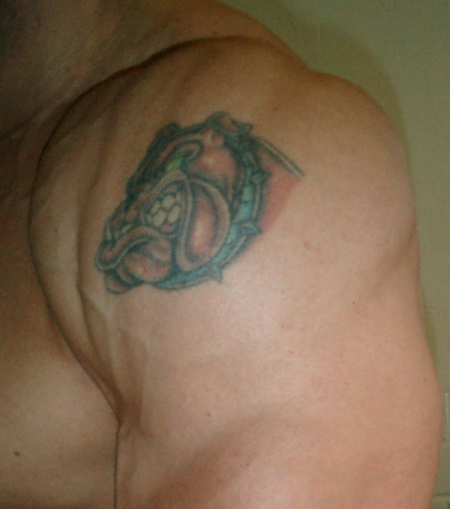 Bulldog