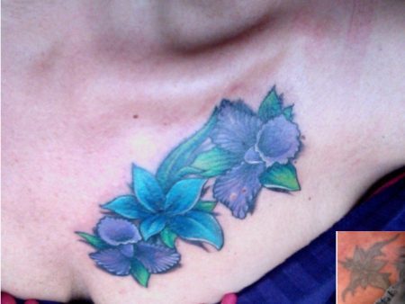 Cover Up