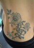 Sonnenblume