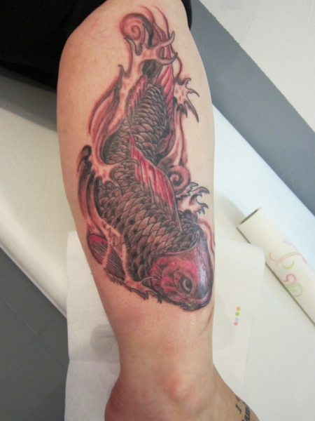 koi