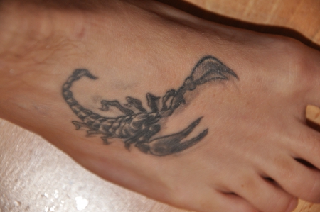 Suchergebnisse für 'Skorpion'-Tattoos | Tattoo-Bewertung.de | Lass
