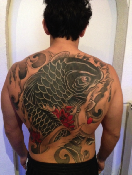 Koi cover up
