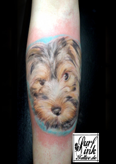 Hundeportrait von Charly