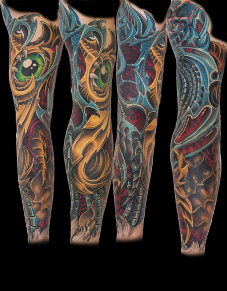 Biomechanic Sleeve 2012 finish