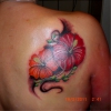 Hibiskus    ( Cover-Up )