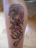 drache