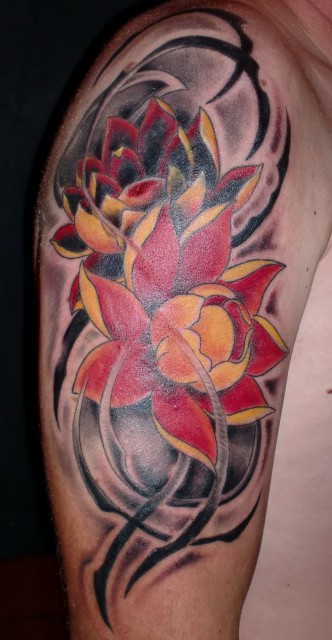Cover up Lotus