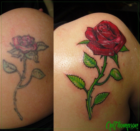 Coverup Rose