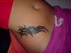 Tribal