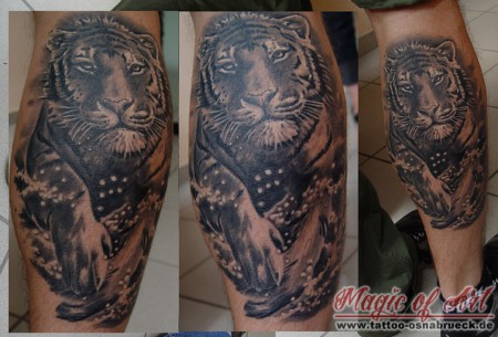 tiger