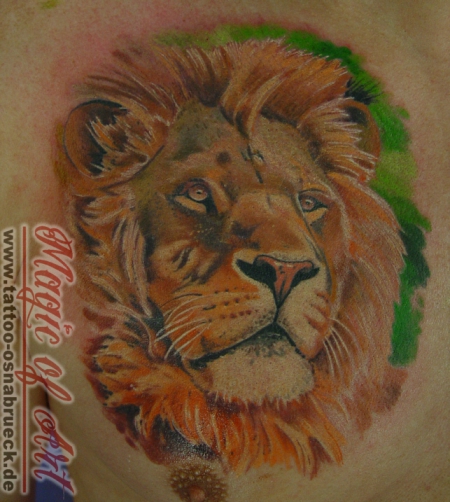lion