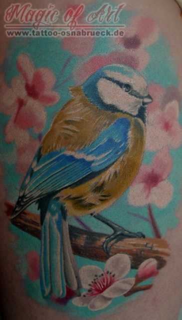 bird