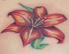 Cover-Up von Herz mit Rose zu Lilienblüte