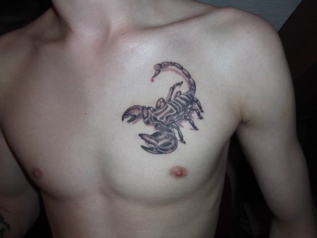 scorpion