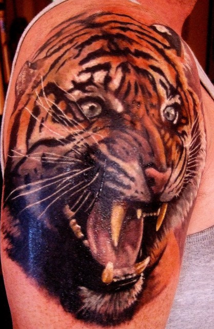 KRASSER TIGER !!! Mein 1. Tattoo........