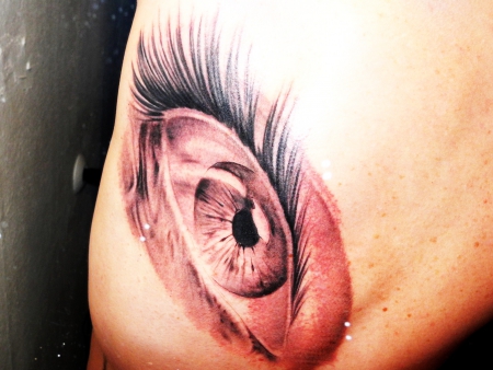 Auge