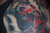 Koi Kopf