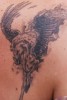 Covertattoo-vom kleinen zum grossen Pegasus