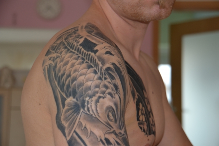 Koi